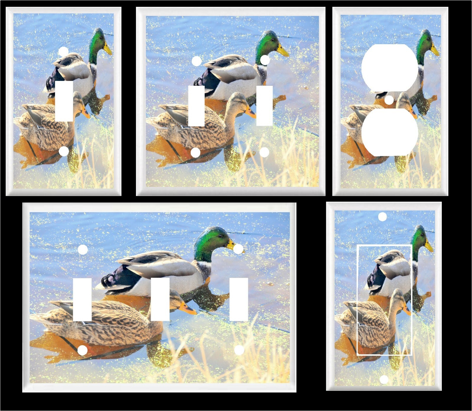 Bild 1 von 32