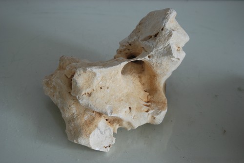 Aquarium Natural Coral Cichlid Rock 2 Pieces Suitable For All Aquarium Use BA13 - Picture 2 of 3