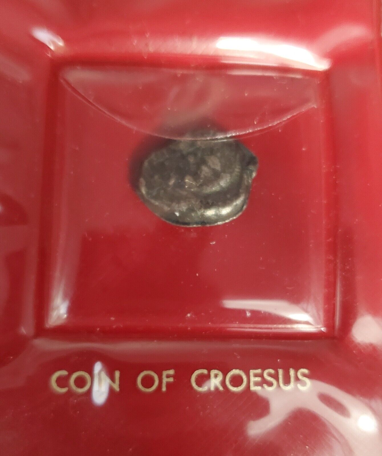 Picture 5 of 11