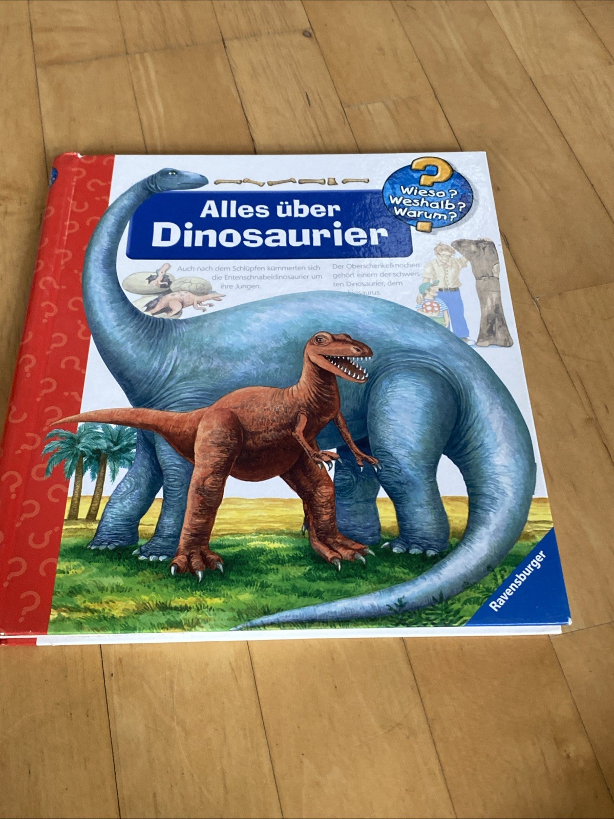 Bild 1 von 1