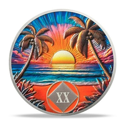 20 Year Sobriety Coin - Beach NA Medallion AA Chip Narcotics Anonymous Gift