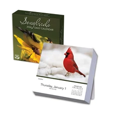 Turner Licensing,  Songbirds 2026 Desk Calendar, 5.5'' X 5.5'', 12-Month Calenda