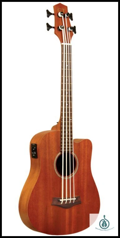 Gold tone micro bass cheap 23