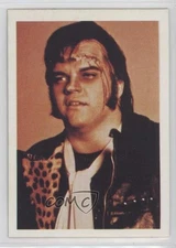 1980 FTCC The Rocky Horror Picture Show Meat Loaf Meatloaf as Eddie #9 11n6