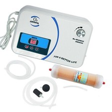 Generatore di ozono 220V OZX-300AT Enaly purificatore acqua aria sterilizzatore essiccatore aria 