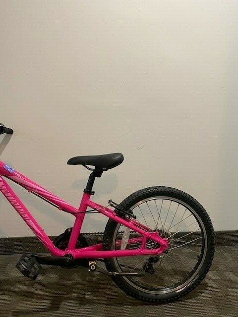 specialized hotrock 20 girl pink