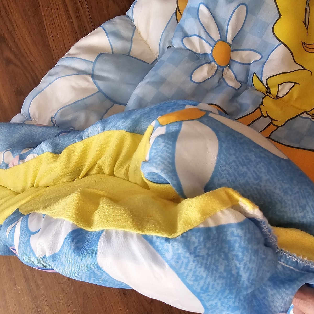 Tweety Bird Vintage Sleeping Bag Warner Bros 2000 Kids
