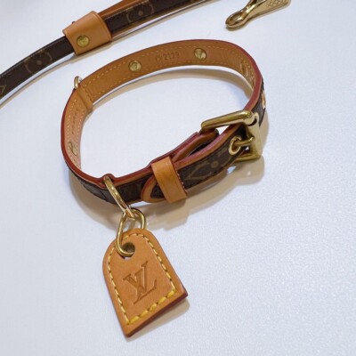 LOUIS VUITTON ルイ ヴィトン リード バクスター PM LOUIS VUITTON ルイ ヴィトン リード バクスター PM LOUIS VUITTON