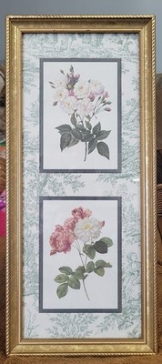 Framed Botanical Flower Rockrose Textured/Matte Noisette & Damask roses 8'' × 20''