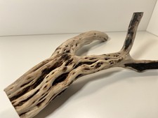 Manzanita Driftwood, Reptile Tank Decor, Aquascape, Terrarium, Aquarium Wood