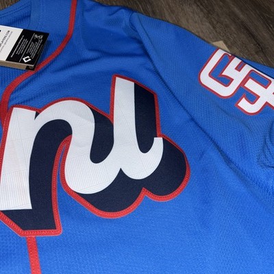 Nike Authentic Fernando Tatis Jr 2025 All Star Game Edition NL