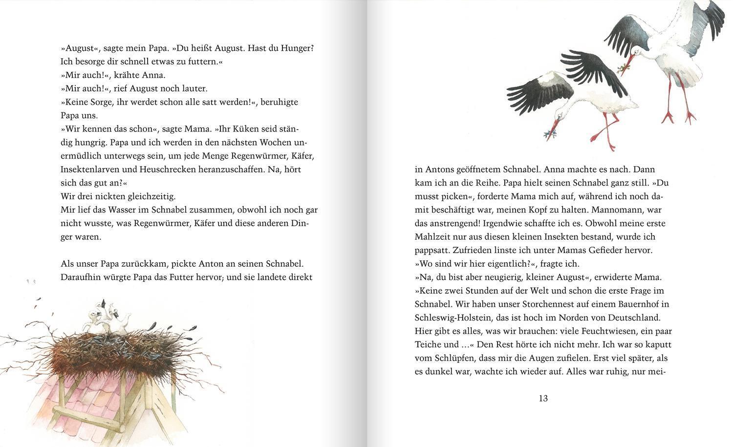 Thumbnail - Wohin Fliegst Du, Kleiner Storch? | Maren Von Klitzing | Buch | 128 S.