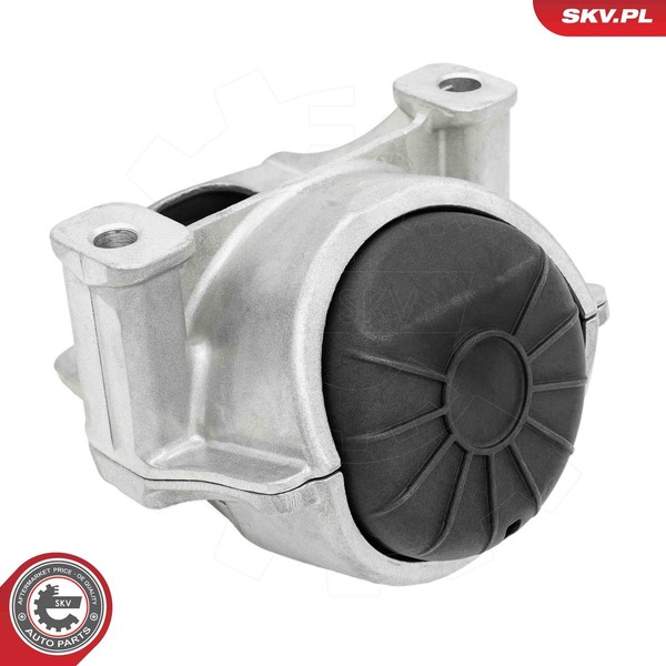 Esen SKV 75SKV327 Lagerung, Motor Links FüR Audi-image