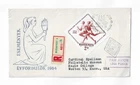 Hungary 1964  2ft runners imperf single on registered FDC to the USA