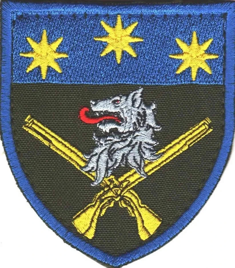 Patches of Various Ukrainian Army Units (Chevrons) 2014-2026