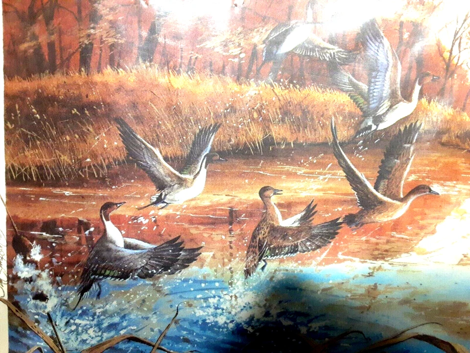 Jim Simpson Lithographic Unframed "Ducks", Signed, Numbered 27/200, Certificate - Image 3 of 4