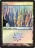 Magic the Gathering 2013 Foil Plains Dragon's Maze PROMO UNPLAYED NM