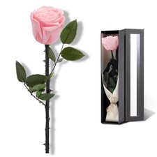 Preserved Pink Roses Gift Women Single Rose Birthday Valentines Delivery