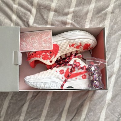 Nike Mimi Plange x LeBron 20 Premium Ceremony Floral Low Top FJ0725-801
