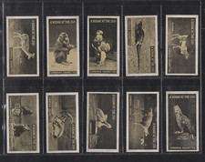 CARRERAS SET: A KODAK AT THE ZOO 1924