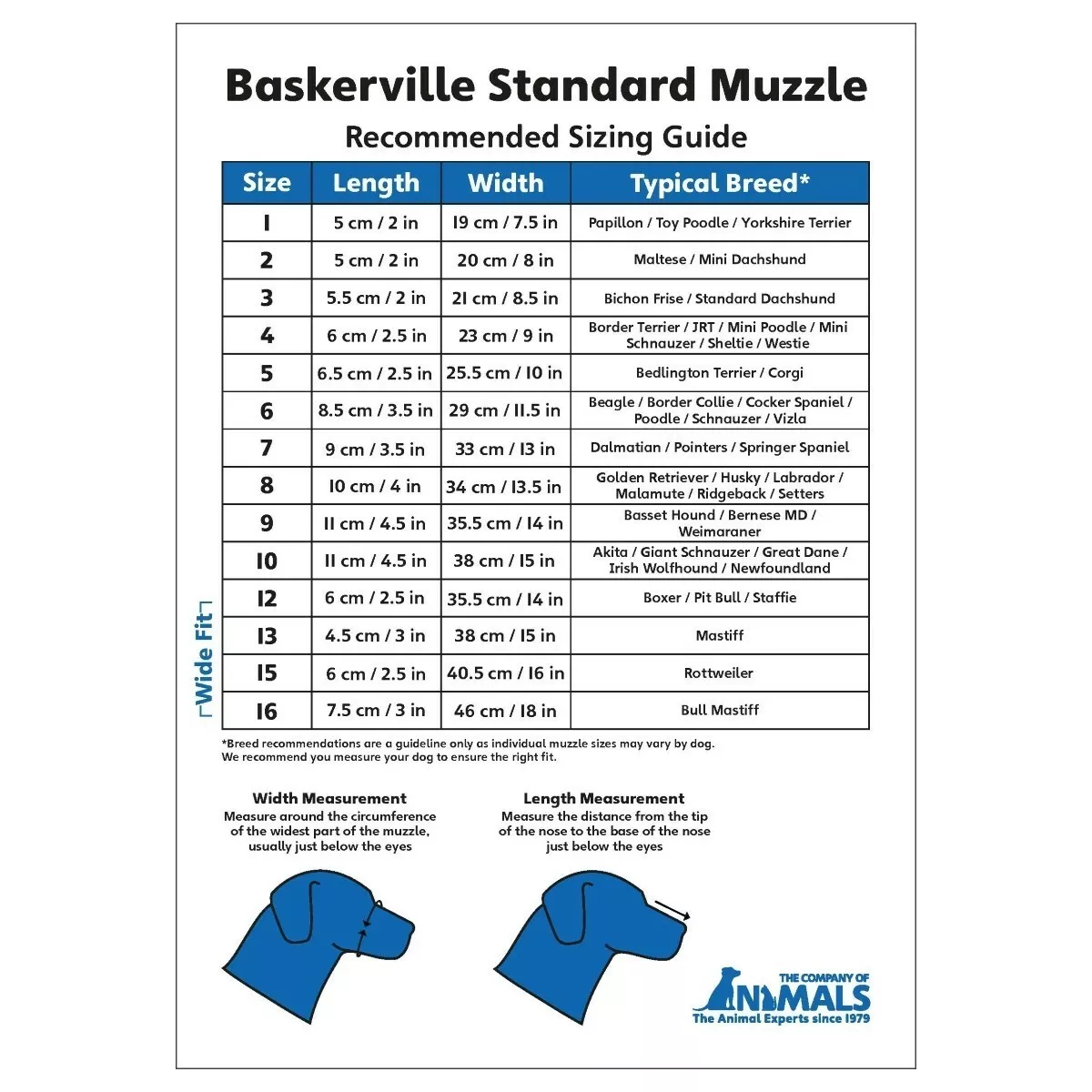 Baskerville dog sale muzzle size guide
