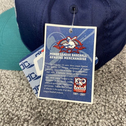 Vintage Ogden Raptors Snapback Hat Outdoor Cap 90s Blue NWT Deadstock NOS - Picture 4 of 8