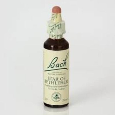 BachBach 29 Star Of Bethlehem 20ml (Stern De Belen