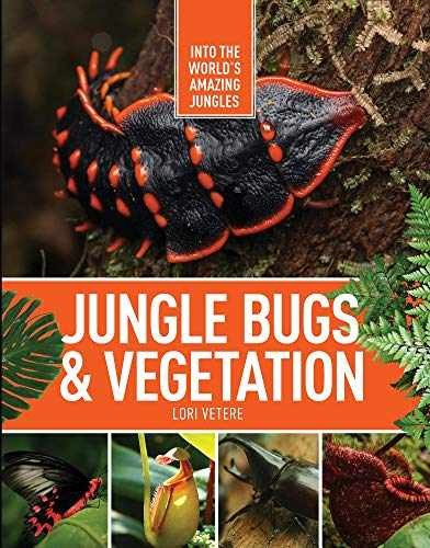Jungle Bugs & Vegetation (Into the - Library Binding, by Vetere Lori - Very Good