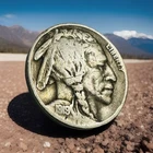 1919-P Buffalo Nickel.  Full Date.  As Shown # BN 19P FDAS