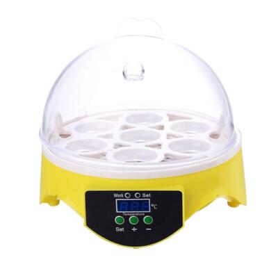 Mini 7 Egg Incubator Poultry Incubators Brooder Digital Temperature Control