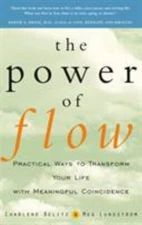 The Power of Flow: Practical Ways to Transform Your Life with Meaningful...
