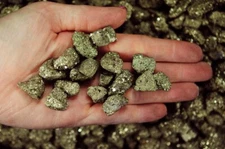 2 lbs Pyrite 'Fools Gold' Rough Stones - 0.5 to 1 inch - Crystal Mineral Rock