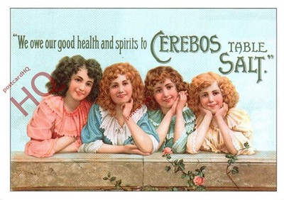 Ansichtskarte; Cerebos Speisesalz, schöne Damenserie (Repro) [Robert Opie]