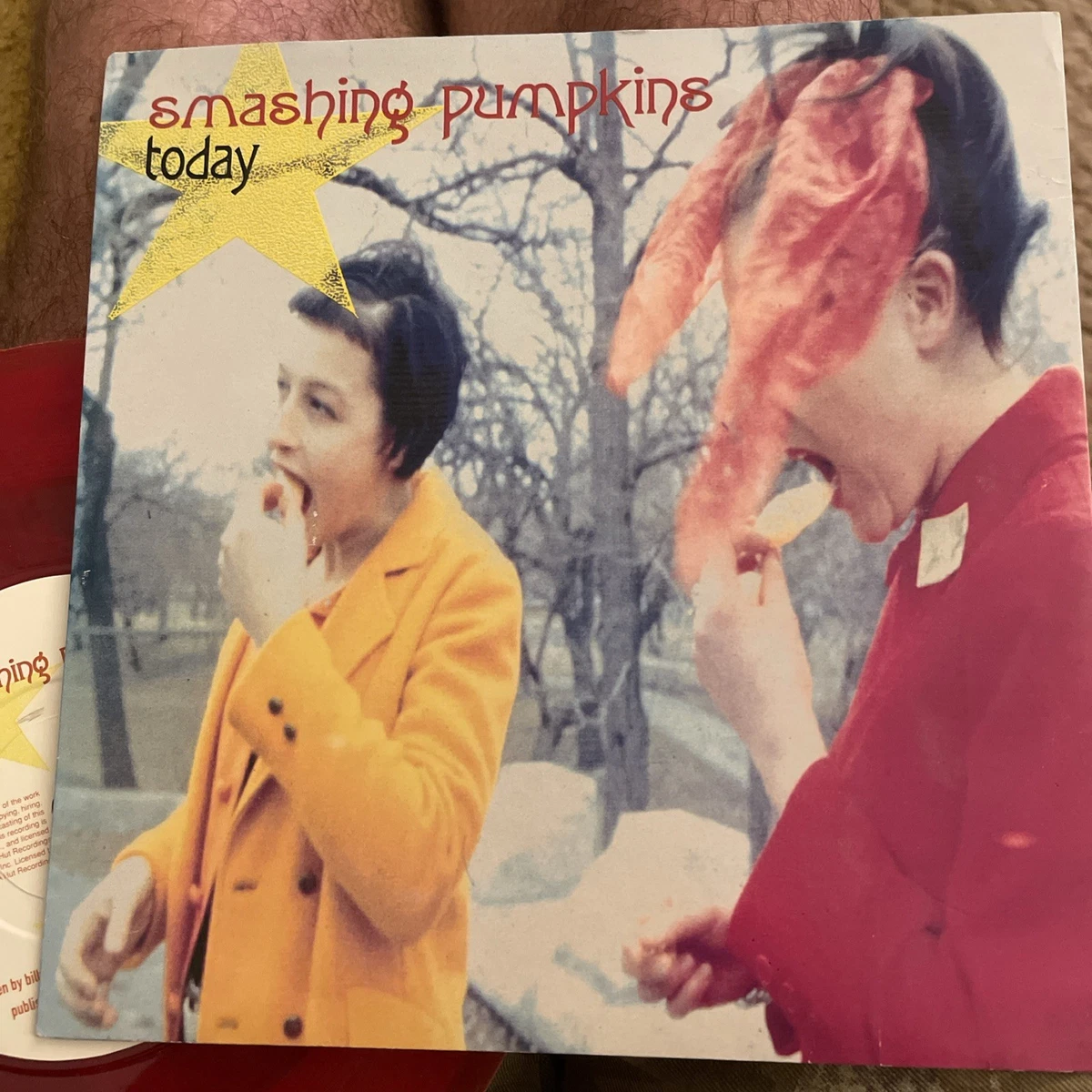 The Smashing Pumpkins 7