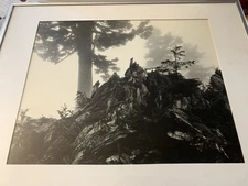 Ansel Adams Tree Stump and Mist Print Framed Matted  Under Glass 10” x 12.75” 