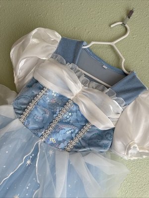 #ad DLLYING Cinderella Dress Toddler Princess Costume amp; Accessories Size 4 T $24.87