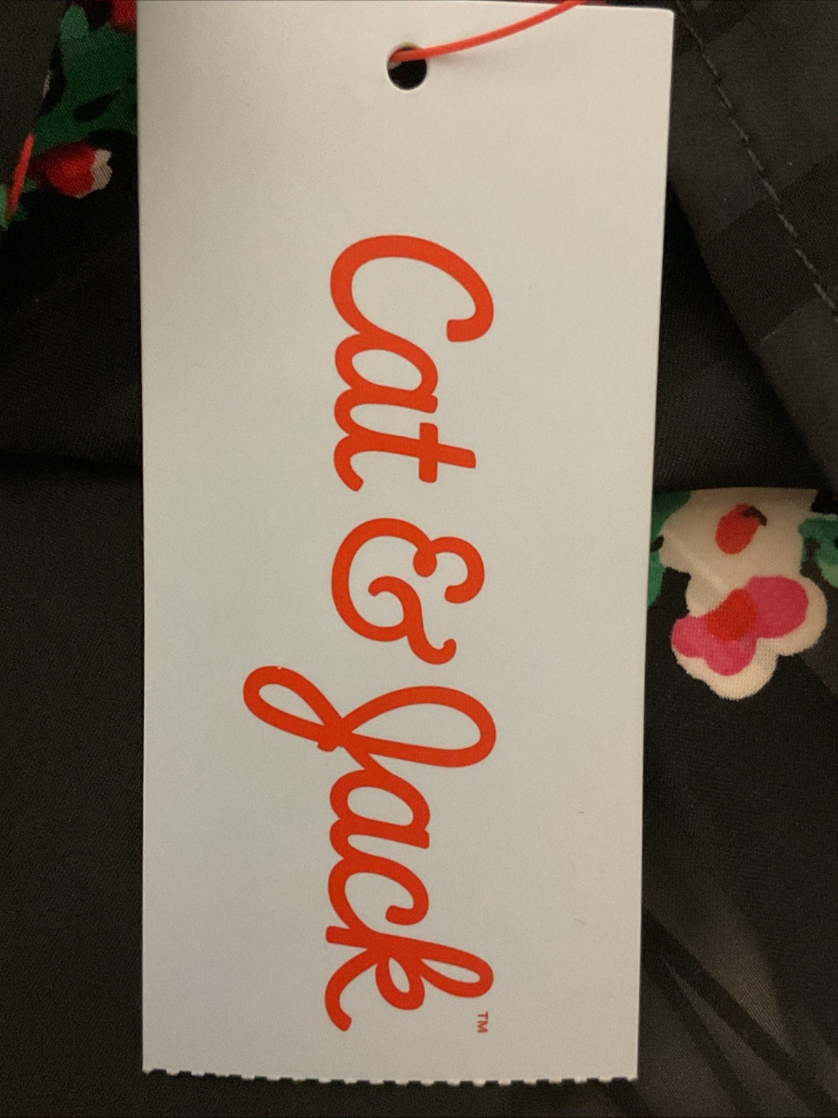 Picture 4 of 7