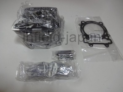 Genuine Kawasaki 2009-2015 KX450F Cylinder Head & Gasket 11008-0173 11004-0088