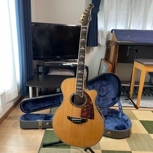 Yamaha Apx 20 | eBay