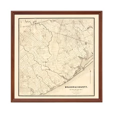 Old Map of Brazoria County, TX 1877 - Vintage Texas Art