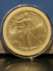 2003 Walking Liberty American Eagle US Silver Dollar