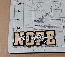 EMBROIDERED IRON ON PATCH NOPE NOT TODAY ST2