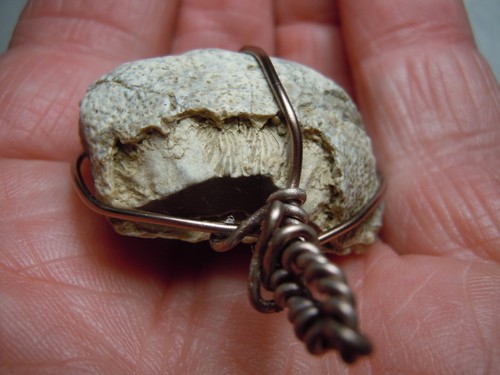 Ancient Fossil Shell Chalcedony Copper Wire Wrap Pendant Kansas Stone 115 Carats - Picture 4 of 12