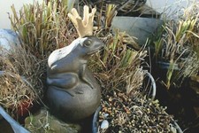 Wasserspeier Froschkönig Gusseisen Pumpe Teich Brunnen Miniteich Figur H 24cm