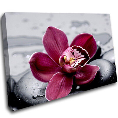 Orchid Flower Pebbles Bathroom Framed Wall Canvas 3D Art Picture Mount Room C261