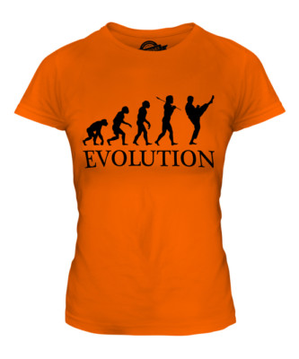 TAEKWONDO EVOLUTION OF MAN LADIES T-SHIRT TEE TOP GIFT MARTIAL ARTS