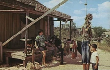 Langtry, Texas TX Vinegarroon Chrome Original Vintage Postcard