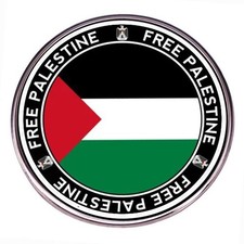 Free Palestine Enamel Lapel Pin Palestine Flag Badge Pin Palestinian National Br