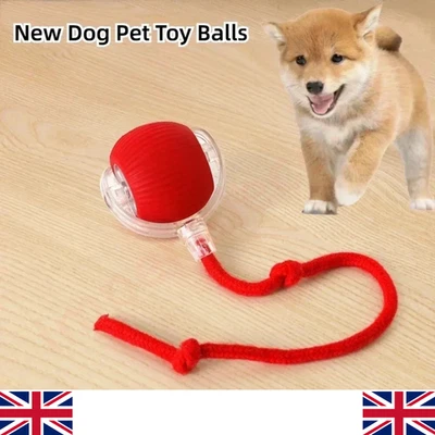 BRANDED Interactive Dog & Cat Toy – Rechargeable Rolling Ball with Fake Tail Pet Fun