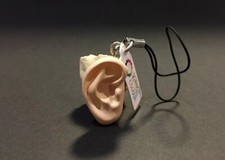 Kitan Club Science Techni Colour Human Body Miniature Ear Model A Strap Figure